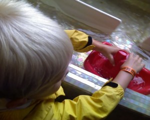 Jake playing make believe with a toy boat in water