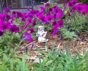 The little angel in my flower garden