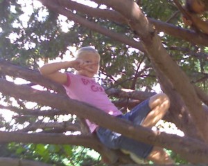 Anna hanging out in a tree at a park