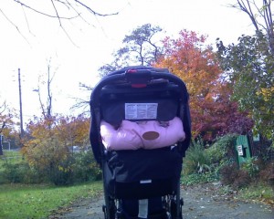 That stroller seems so much bigger than it really is, overwhelming when that baby cries