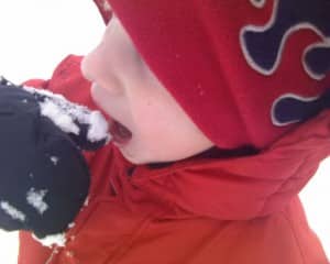 Jake eating snow