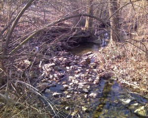 A creek