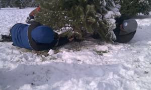 Ethan and My husband cutting down the Christmas Tree