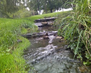 Creeks naturally flow
