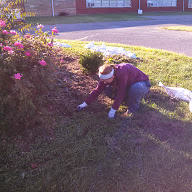 Holy Cross student pulling weeds