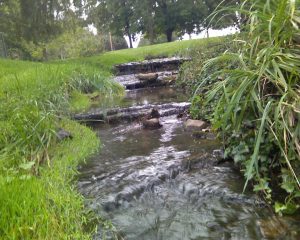 Little Creek by our house