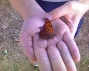 Spencer caring for a butterfly