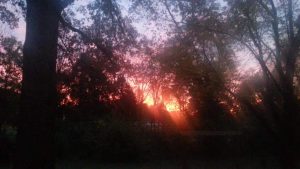 Sunset in my backyard